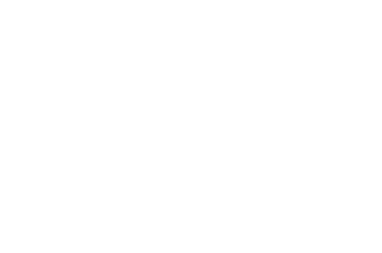 INMOBILIARIA ALGARROBO