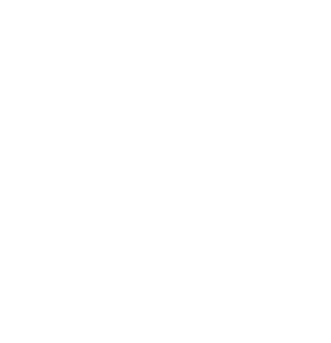 VARPRO SPA
